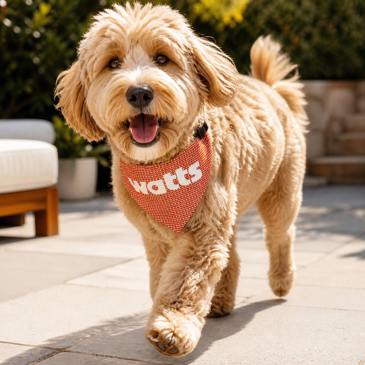 Watts Dog Bandana