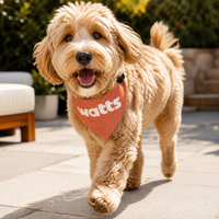 Watts Dog Bandana