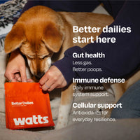 Better Dailies